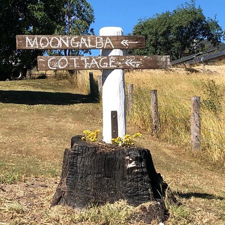 Moongalba Cottage Kerry Bagian luar foto