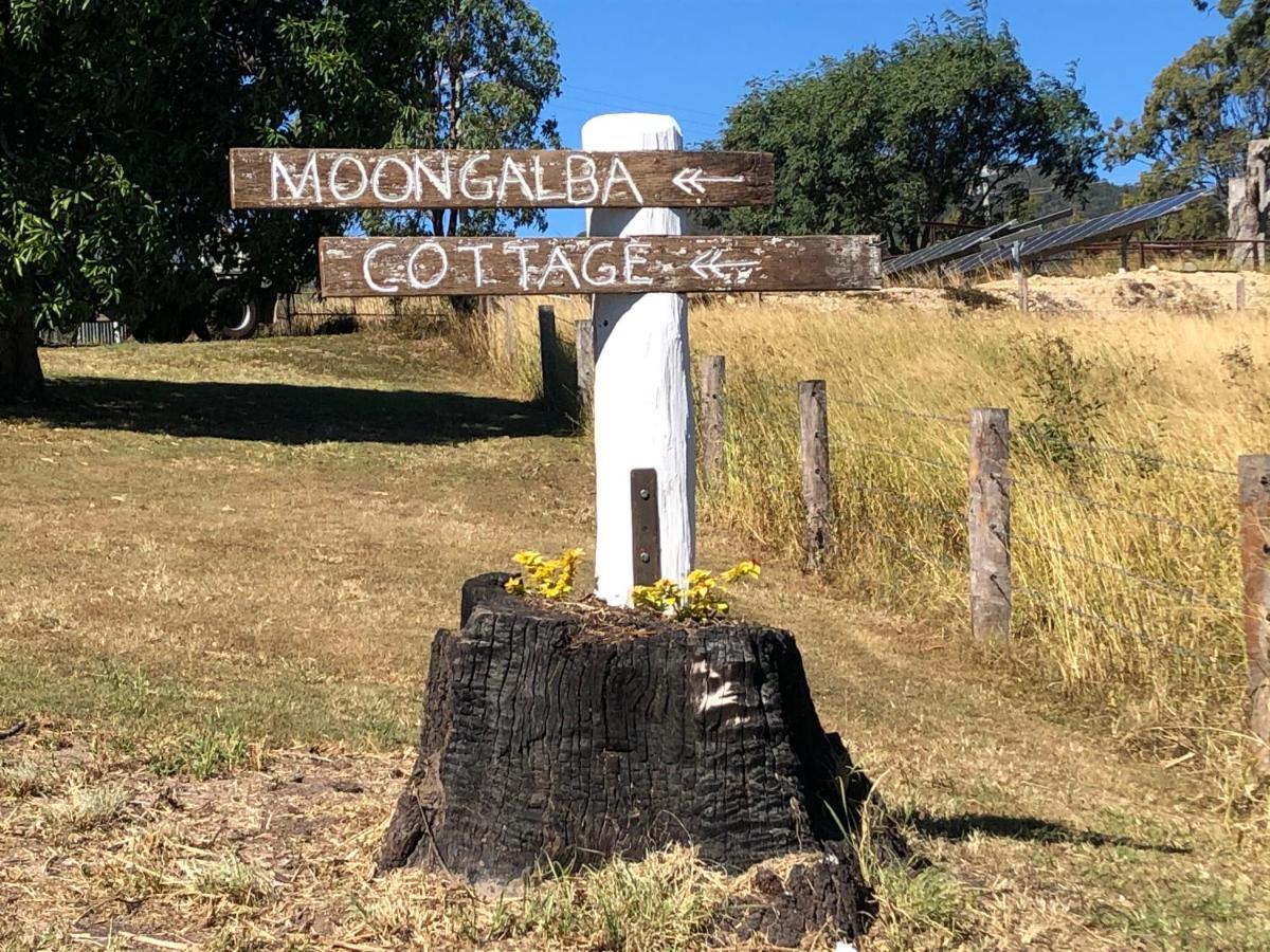 Moongalba Cottage Kerry Bagian luar foto